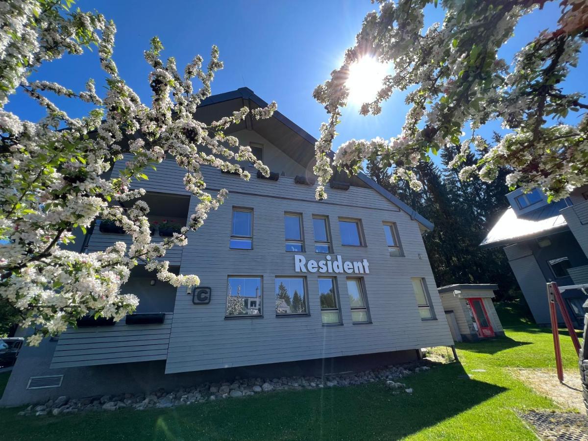Free Wellness & Spa Multimedia Apartment - Snidane V Cene - Zdarma Vstup Do Wellness, Virive Vany, Solna Sauna, Finska Sauna, Parni Sauna, Masaze, Playstation 5 A Hry, Sklep, Moderni Vybaveni, Parkovani Zdarma, Vybaveni Pro Deti, Klidna Lokalita Harrachov Bagian luar foto