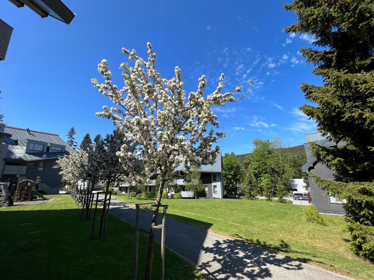 Free Wellness & Spa Multimedia Apartment - Snidane V Cene - Zdarma Vstup Do Wellness, Virive Vany, Solna Sauna, Finska Sauna, Parni Sauna, Masaze, Playstation 5 A Hry, Sklep, Moderni Vybaveni, Parkovani Zdarma, Vybaveni Pro Deti, Klidna Lokalita Harrachov Bagian luar foto